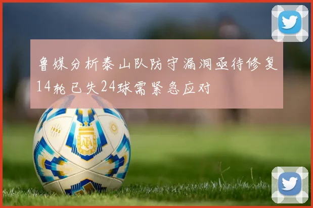 鲁媒分析泰山队防守漏洞亟待修复14轮已失24球需紧急应对